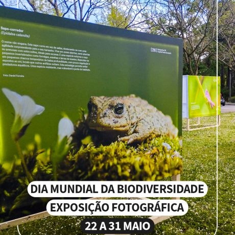 Celebra o Dia Mundial da Biodiversidade no GuimarãeShopping